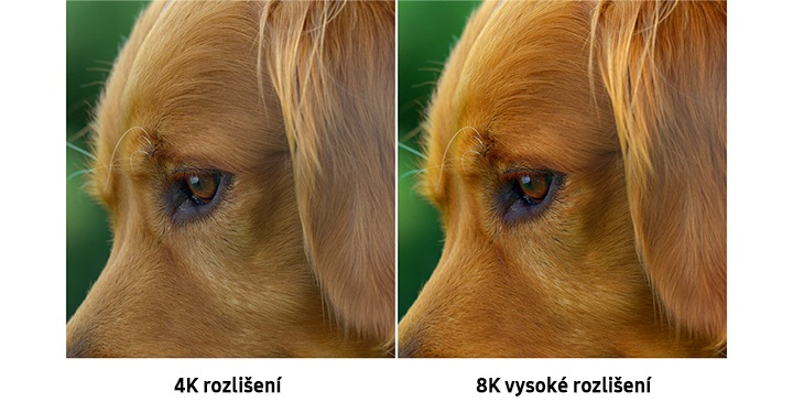 Stejný obrázek psa v rozdílné obrazové kvalitě představuje srovnání mezi rozlišením 4K a vysokým rozlišením 8K. Obraz napravo ve vysokém 8K rozlišení zobrazuje detailnější fotografii než ten ve 4K rozlišení nalevo.