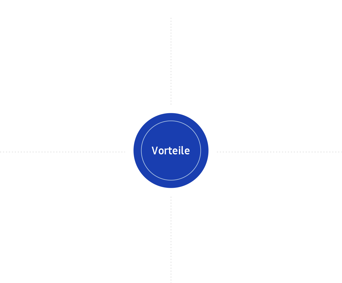 Vorteile