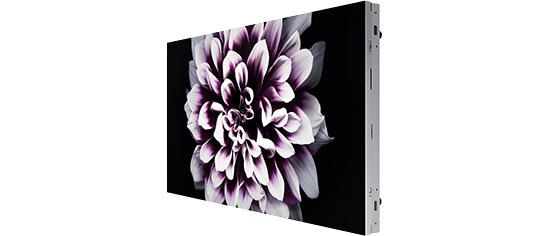 Ein Foto des Bildschirms des IW008J-Modells aus einem leichten Winkel. Es wird eine weiß-lilafarbene Blume als Hintergrund verwendet.