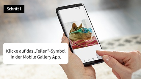 1. Klicke auf das „Teilen“-Symbol in der Mobile Gallery App.