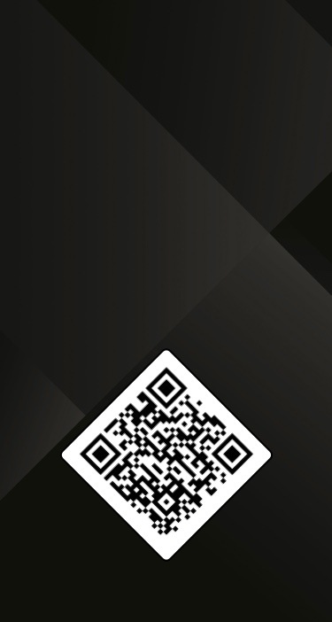 Skyticket QR Code zum scannen.