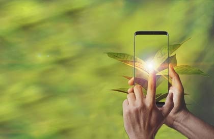 Über das Smartphone Display die Natur berühren