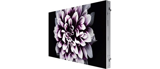 Ein Foto des Bildschirms des IW008J-Modells aus einem leichten Winkel. Es wird eine weiß-lilafarbene Blume als Hintergrund verwendet.