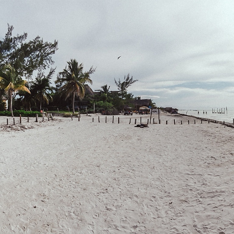 Isla Holbox Isla Holbox