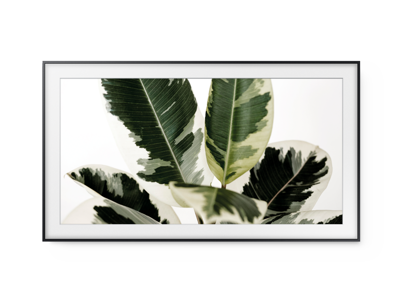 Frame TV