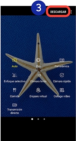 Pulsamos en "Descargar"