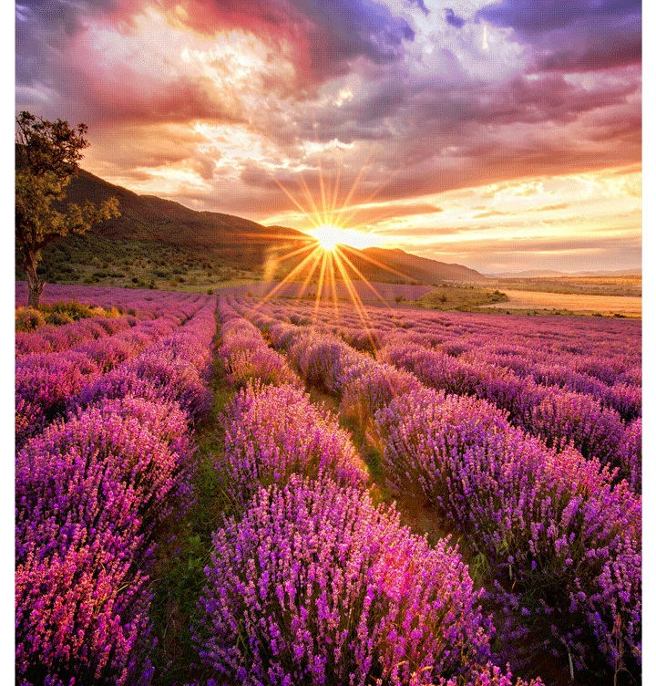 Image représentant l'affichage LED