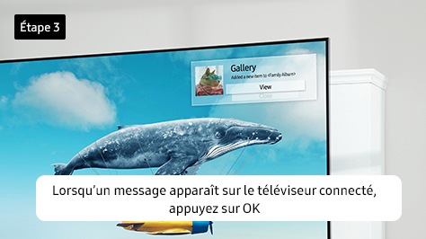3. Lorsqu’un message apparaît sur le téléviseur connecté, appuyez sur OK