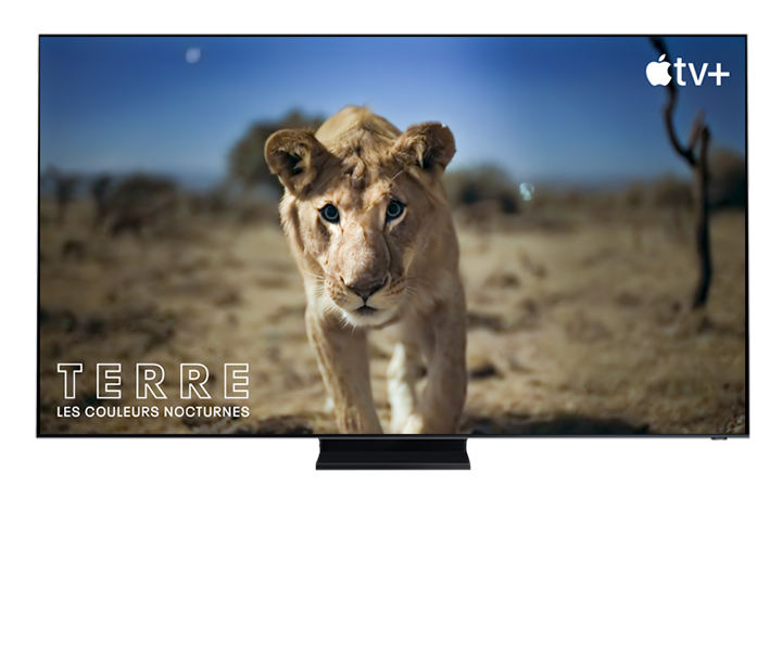 Samsung Smart TV - Apple TV+ Terre les couleurs nocturnes Samsung Smart TV - Apple TV+ Terre les couleurs nocturnes