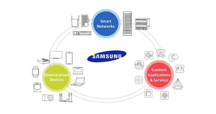 Networks Business Overview