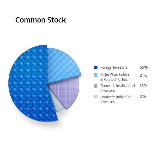 Common Stock. Foreign Investors 55%. Major Shareholder & Related Parties 21%. Domestic Individual Investors 18%. Domestic Individual Investors 6%