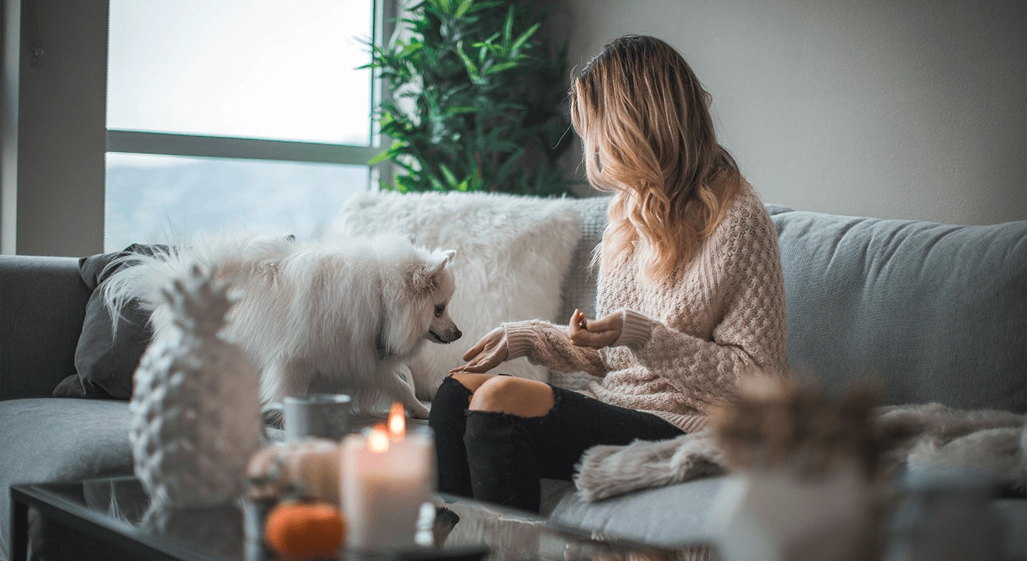 Una mujer en el sofá con un perro pequeño