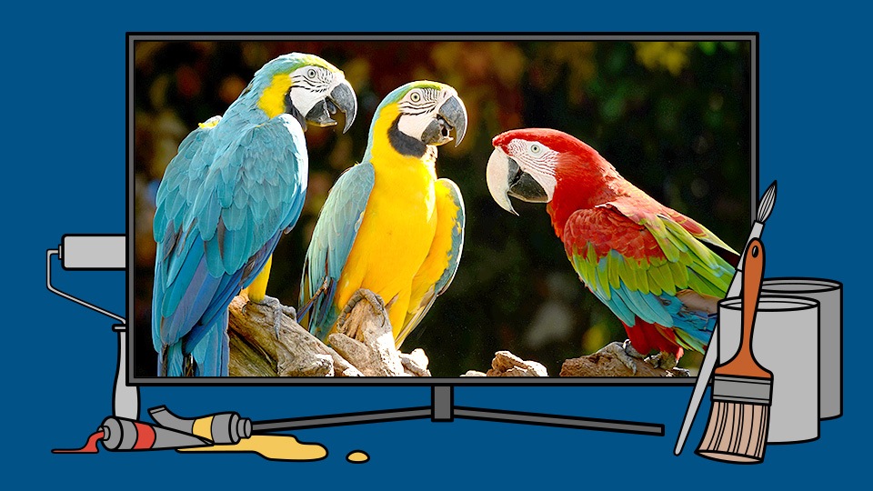 An illustration of Samsung’s QLED TV featuring 3 colorful parrots on screen, with paint and brushes placed on the ground in front of QLED TV