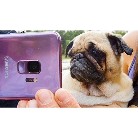DodoLoves_Samsung_440x440.jpg