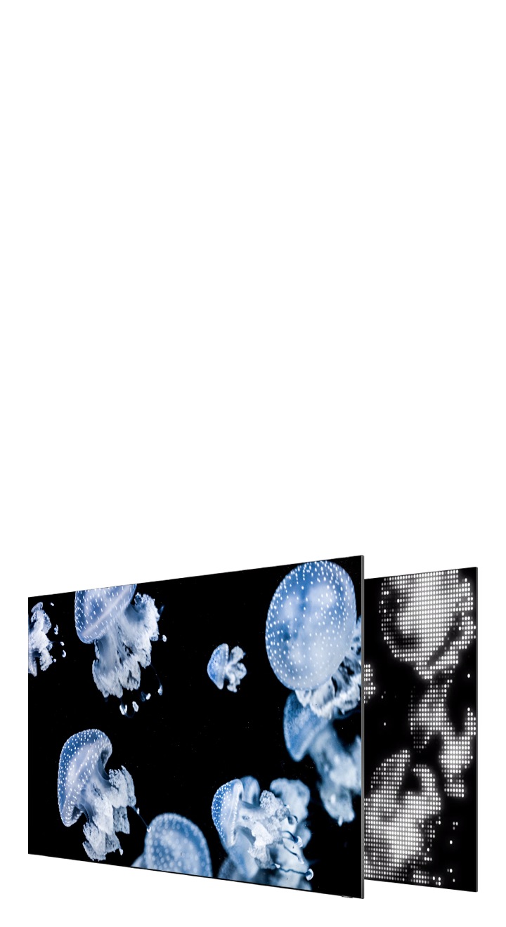 Video Direct Full Array 32x Samsung QLED is showing clearer shiny jellyfish in the deep dark sea using backlight control and direct full array 32x technology which allows QLED to show deeper black colours.