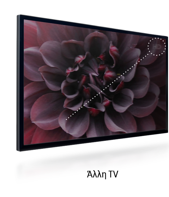 The quality of a strong red flower image on the screen of the conventional TV only with a bezel becomes poorer over time.