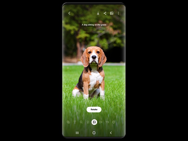 Bixby Vision 語音說明狗隻坐在草地的圖片。手機畫面下方顯示「重拍」按鍵。