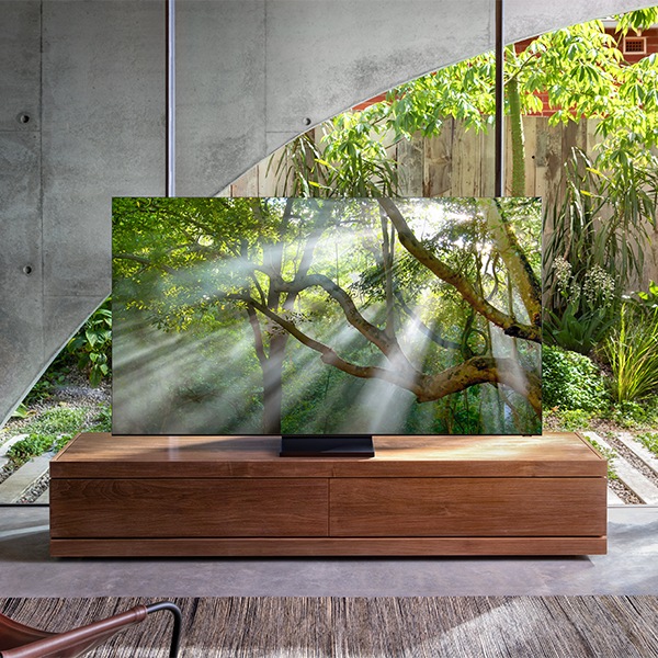 一部QLED 8K電視放在客廳中央,屏幕上顯示著森林中的樹木。