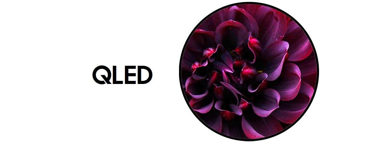 qled qled