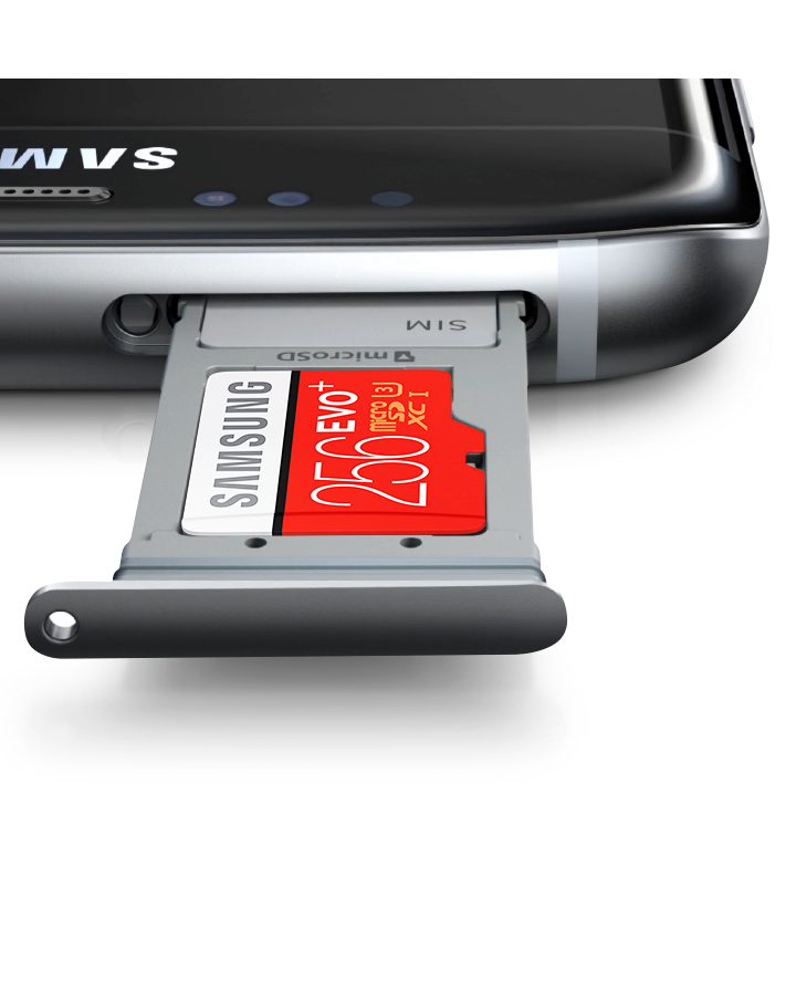 microSD EVO Plus 256GB