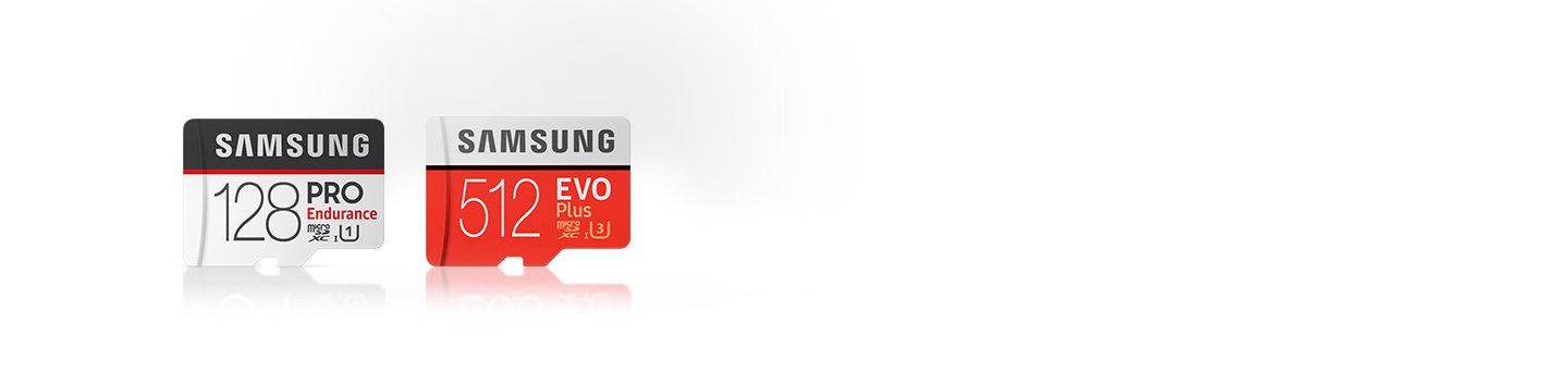 EVO Plus Memory Card with Pro Endurance Memory Card
