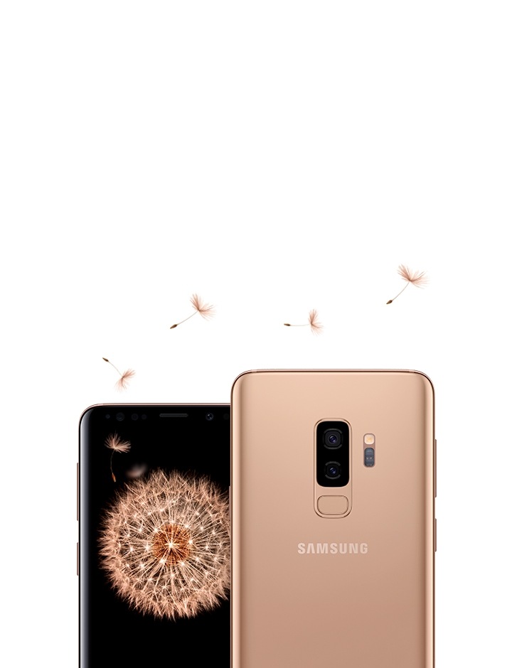 One Galaxy S9 seen from the front and Galaxy S9+ seen from the front and the rear in lilac purple. Displayed on Galaxy S9 is dandelion seeds and displayed on Galaxy S9+ is a dandelion.