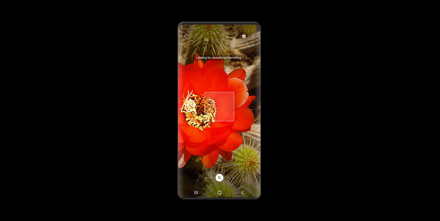 A screenshot of Red flower scanning with the Bixby Vision lens function.