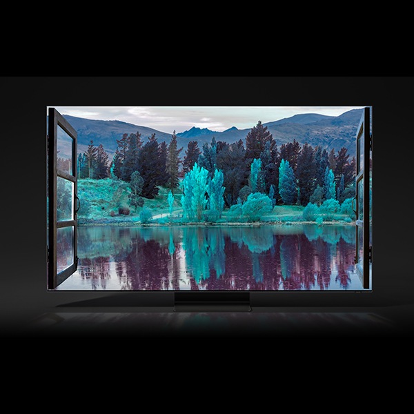 QLED 8K درختان جنگل را روی صفحه نشان میدهد.