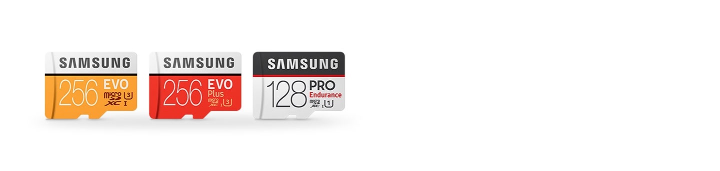 Memory Cards