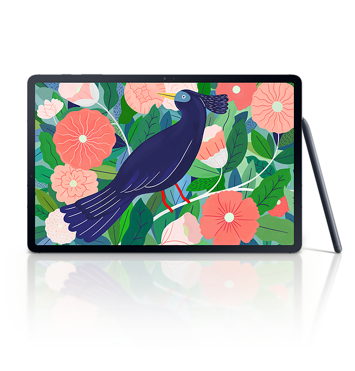 Samsung Galaxy Tab S2 Samsung Galaxy Tab S2