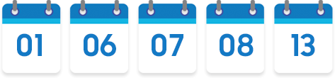 01, 06, 07, 08, 13
