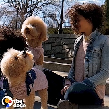 A Super Slow-mo video from The Dodo shot on Galaxy for Mother’s Day. It features a mom, her daughter, and their two dogs jumping, walking, and shaking their hair.