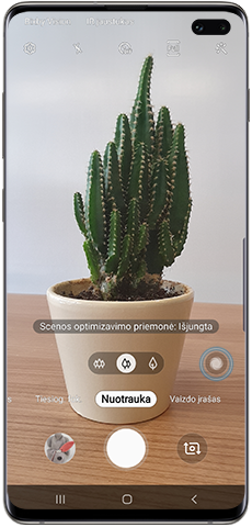 Automatinis scenos optimizavimas, scenos optimizavimo piktograma išjungta