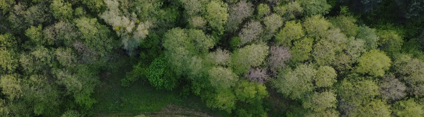 Klimata pārmaiņu lapas galvenais attēls