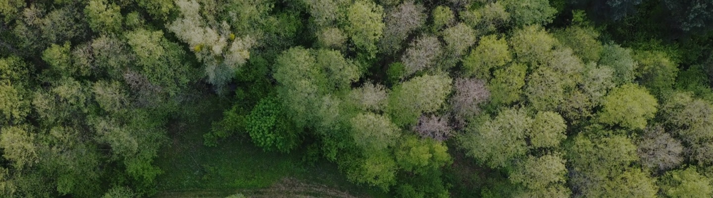 Imagen visual clave de nuestra página de Cambio climático