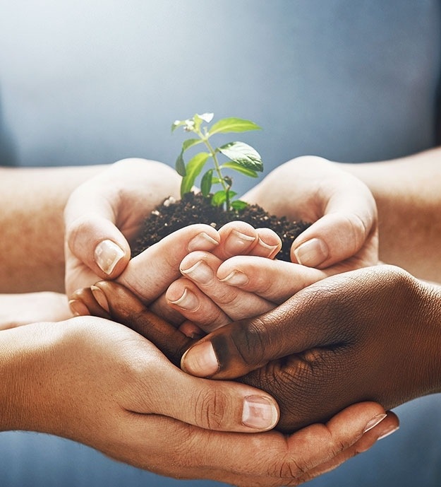 Three sets of hands folded to hold a seedling in soil.