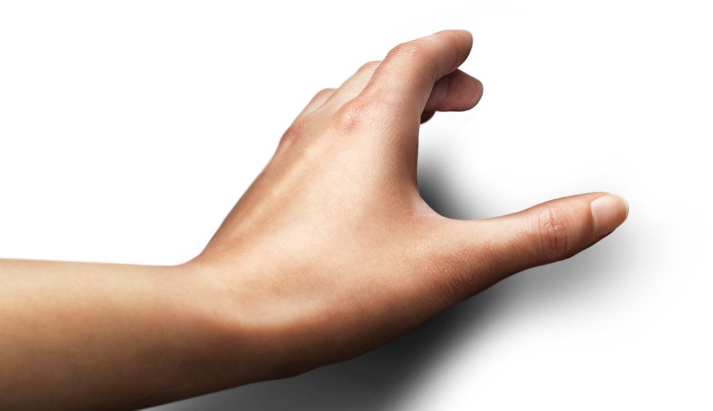 Image of the Hand