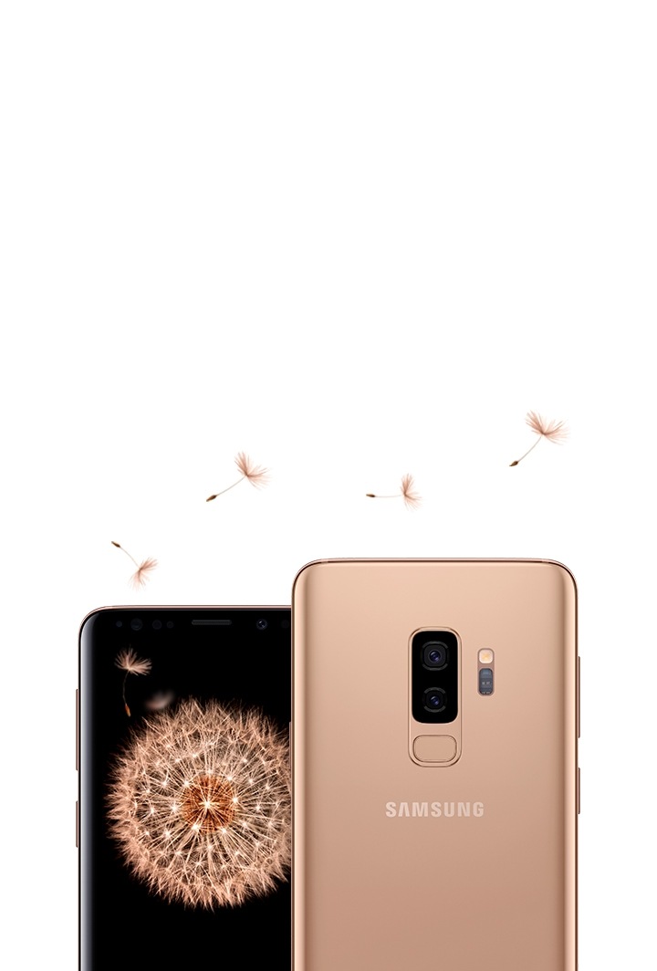 One Galaxy S9 seen from the front and Galaxy S9+ seen from the front and the rear in lilac purple. Displayed on Galaxy S9 is dandelion seeds and displayed on Galaxy S9+ is a dandelion.