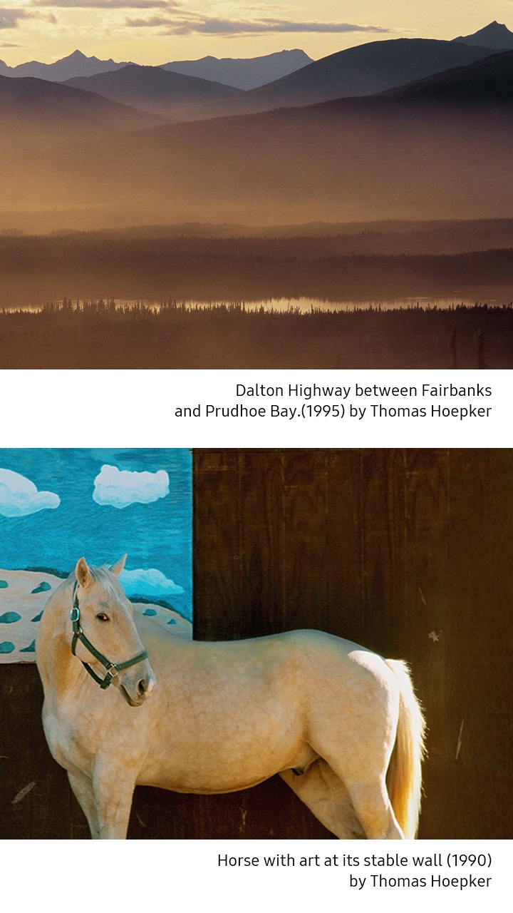 À gauche, Dalton Highway between Fairbanks and Prudhoe Bay.(1995) de Thomas Hoepker. À droite, Horse with art at its stable wall. (1990) de Thomas Hoepker.