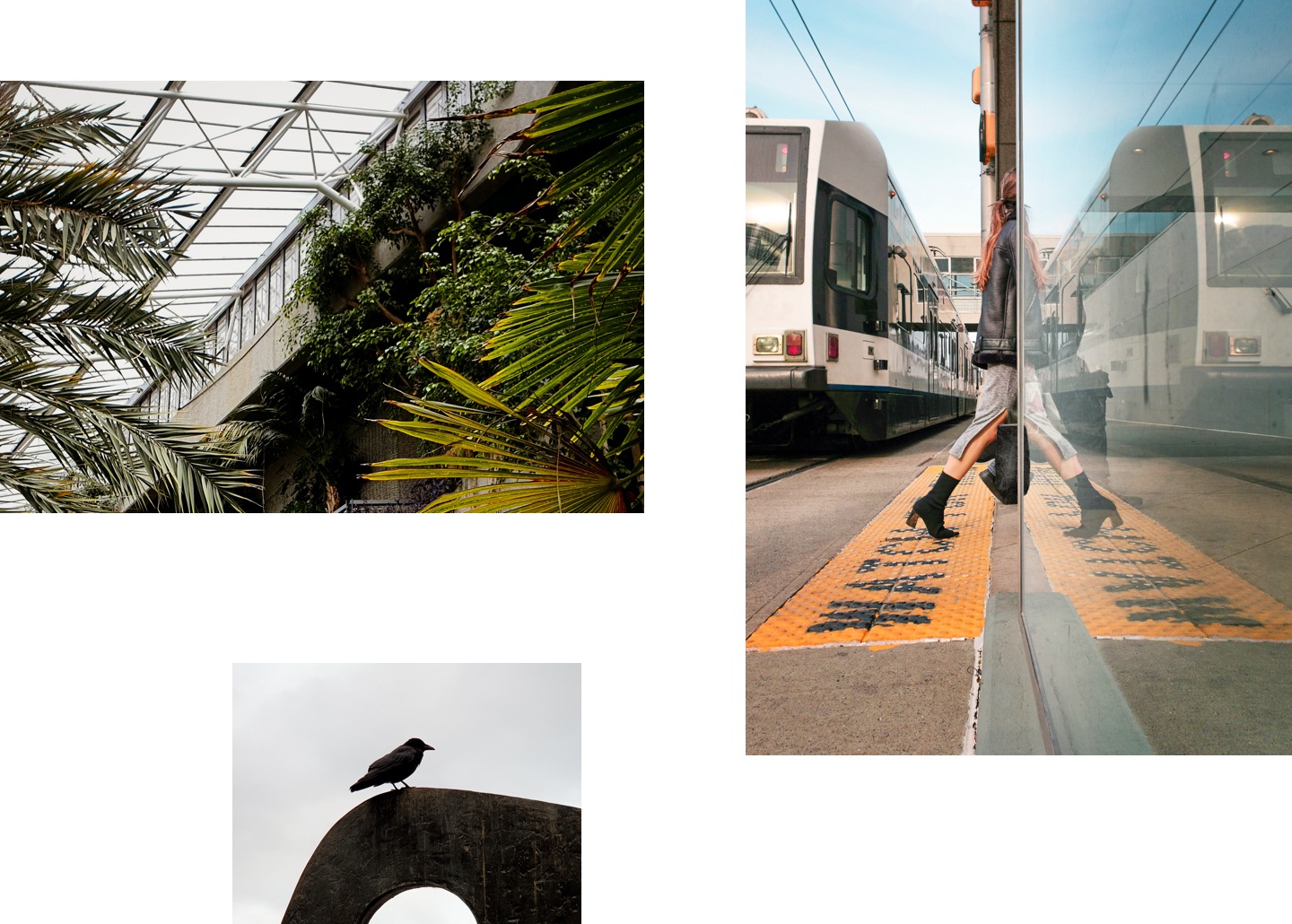 Photos du côté sauvage de Londres, prises avec un téléphone Samsung Galaxy