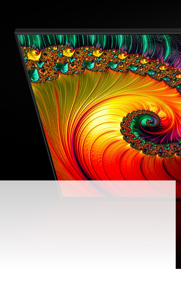 Un téléviseur QLED affiche une conque multicolore, avec une qualité d’image haute résolution.