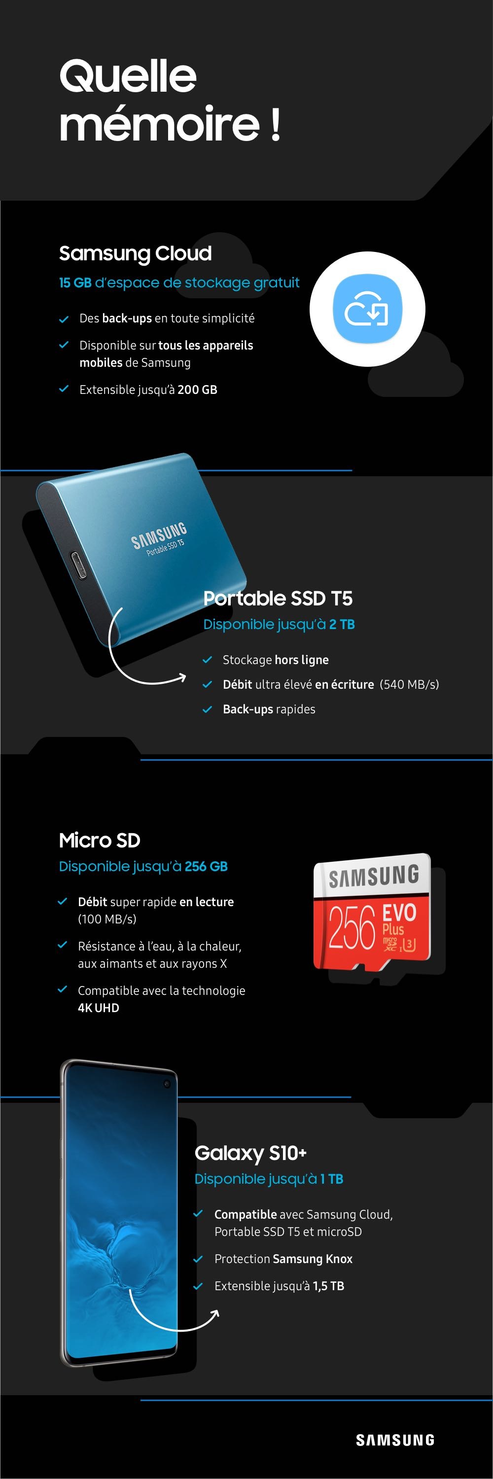 Infographic Samsung Memory