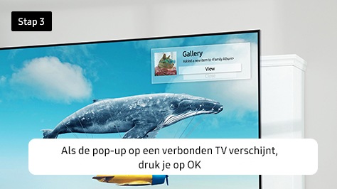 3. Als de pop-up op een verbonden TV verschijnt, druk je op OK