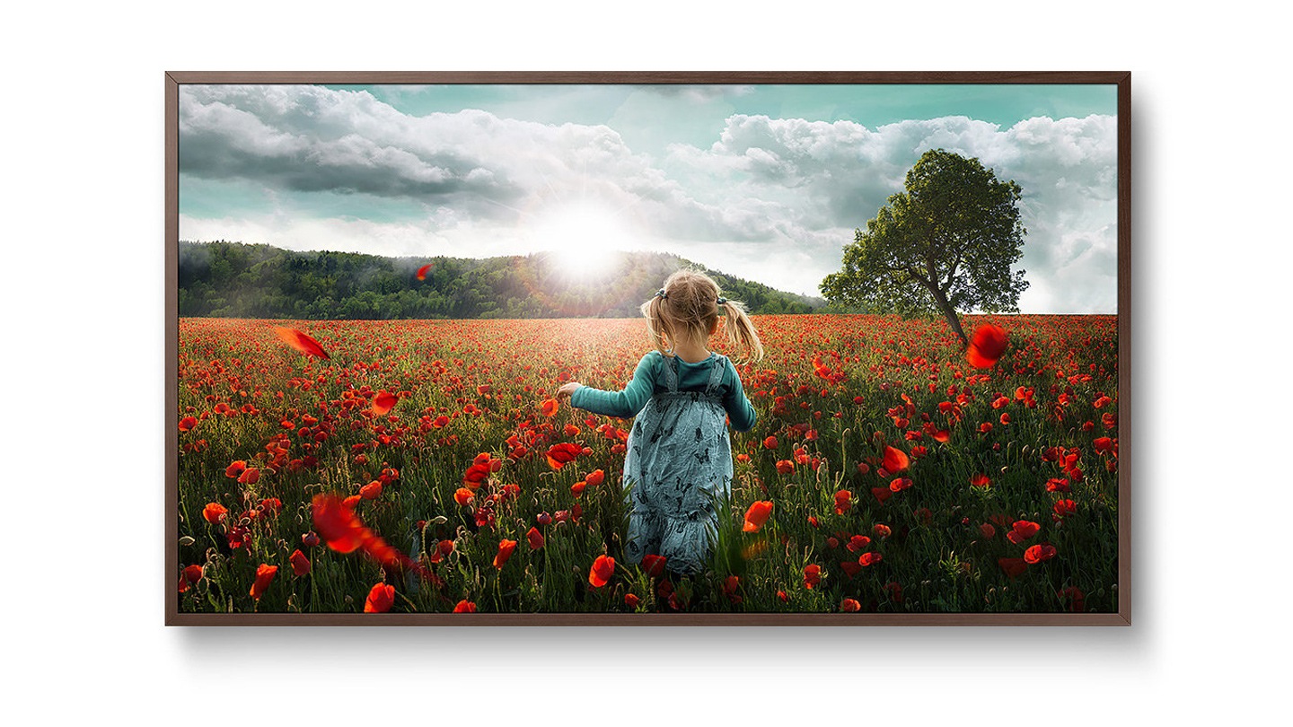The Frame 4K UHD