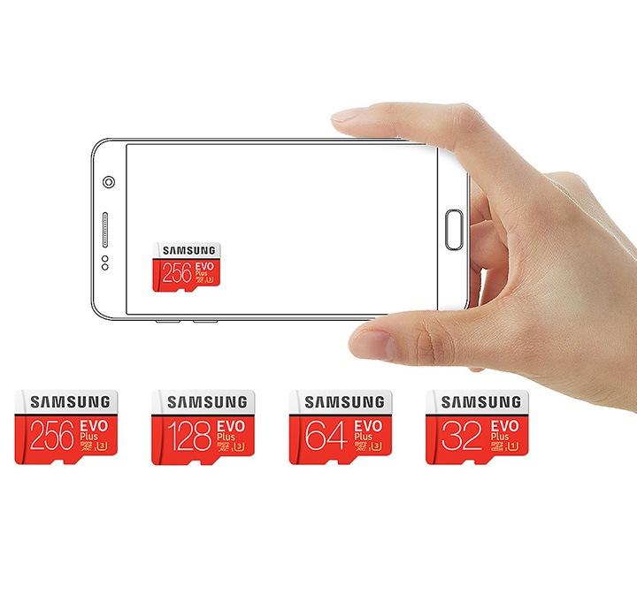 Carte microSD EVO