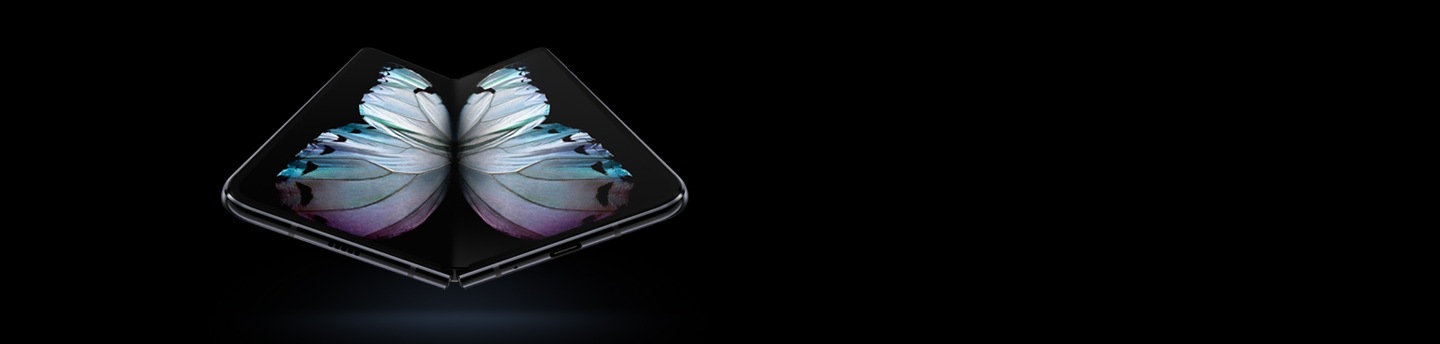 Galaxy Fold