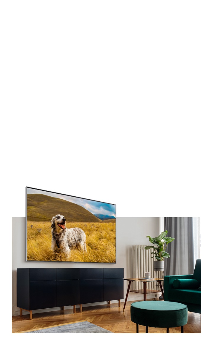 Een TV hangt boven een TV-meubel in een moderne woonkamer en toont een bruin gespikkelde hond in het gras in Natural Mode.