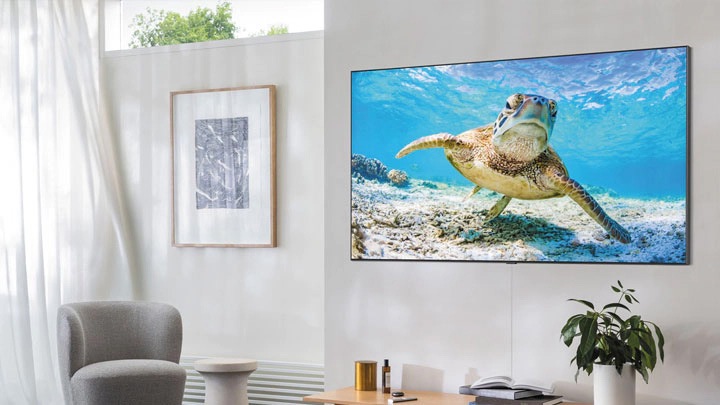 A Samsung QLED TV hangs on a wall. On the TV is an image of a turtle.