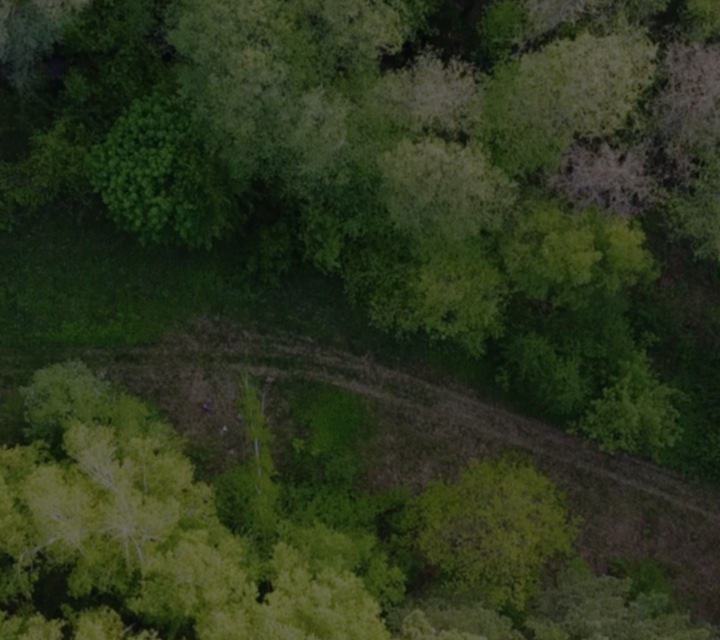 Una imagen clave de la página del medida climática