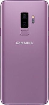 Lilac Purple
